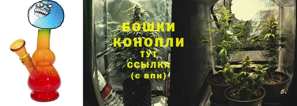 дмт Киреевск