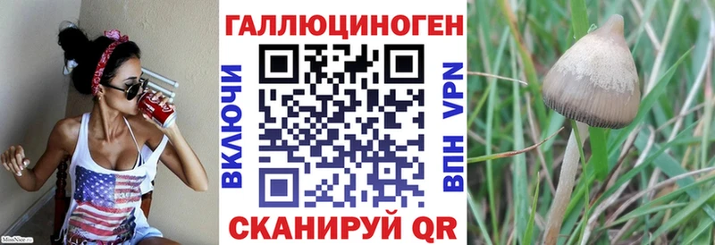 Купить закладки  Краснотурьинск  Псилоцибиновые грибы Magic Shrooms 