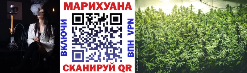 Конопля индика  Купить где  Краснотурьинск 